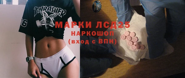 ПСИЛОЦИБИНОВЫЕ ГРИБЫ Новозыбков