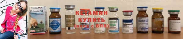 ПСИЛОЦИБИНОВЫЕ ГРИБЫ Новозыбков