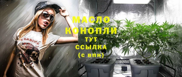 ПСИЛОЦИБИНОВЫЕ ГРИБЫ Новозыбков