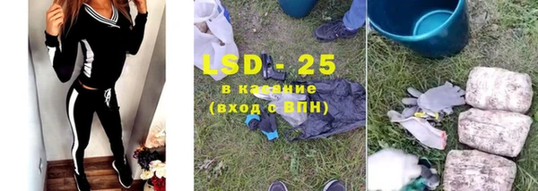 ПСИЛОЦИБИНОВЫЕ ГРИБЫ Новозыбков