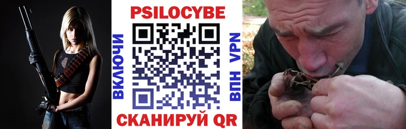 Галлюциногенные грибы Psilocybe  Ржев 