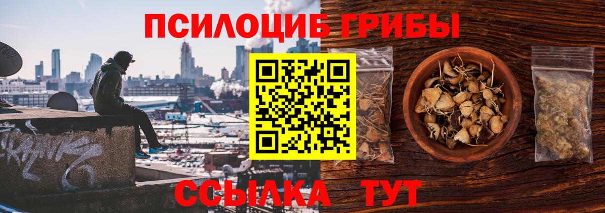 Псилоцибиновые грибы ЛСД  Псилоцибиновые грибы прущие грибы  Ржев  Вход с VPN 