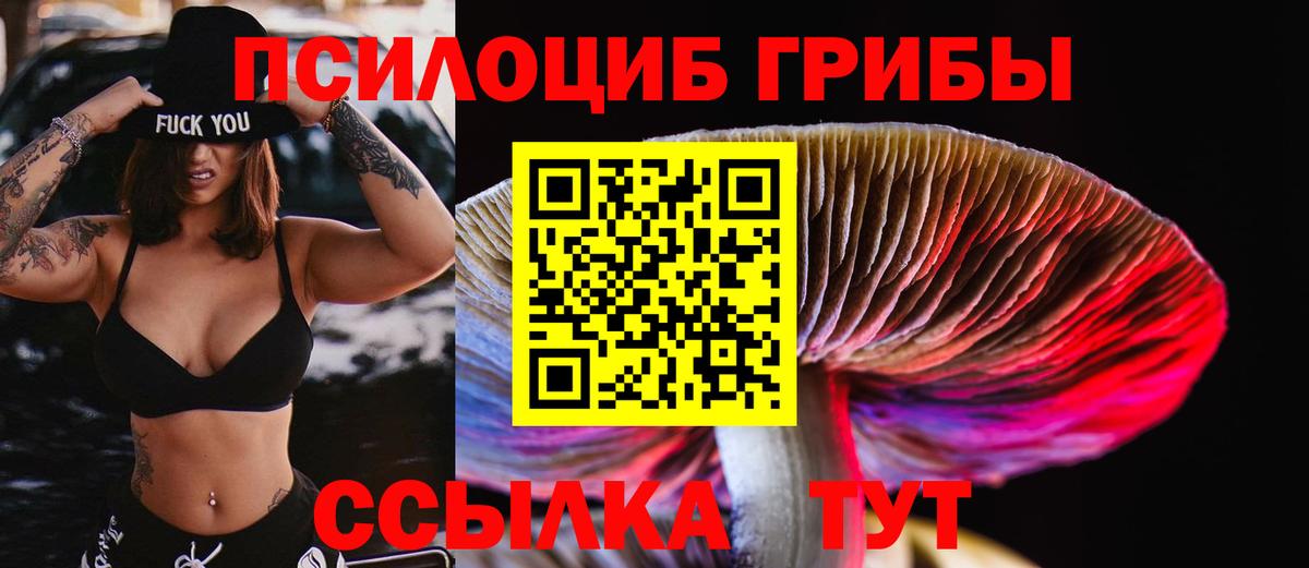 Ржев  Галлюциногенные грибы Psilocybine cubensis  Вход с VPN 