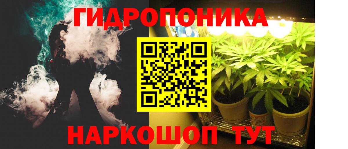 Каннабис Amnesia Ржев